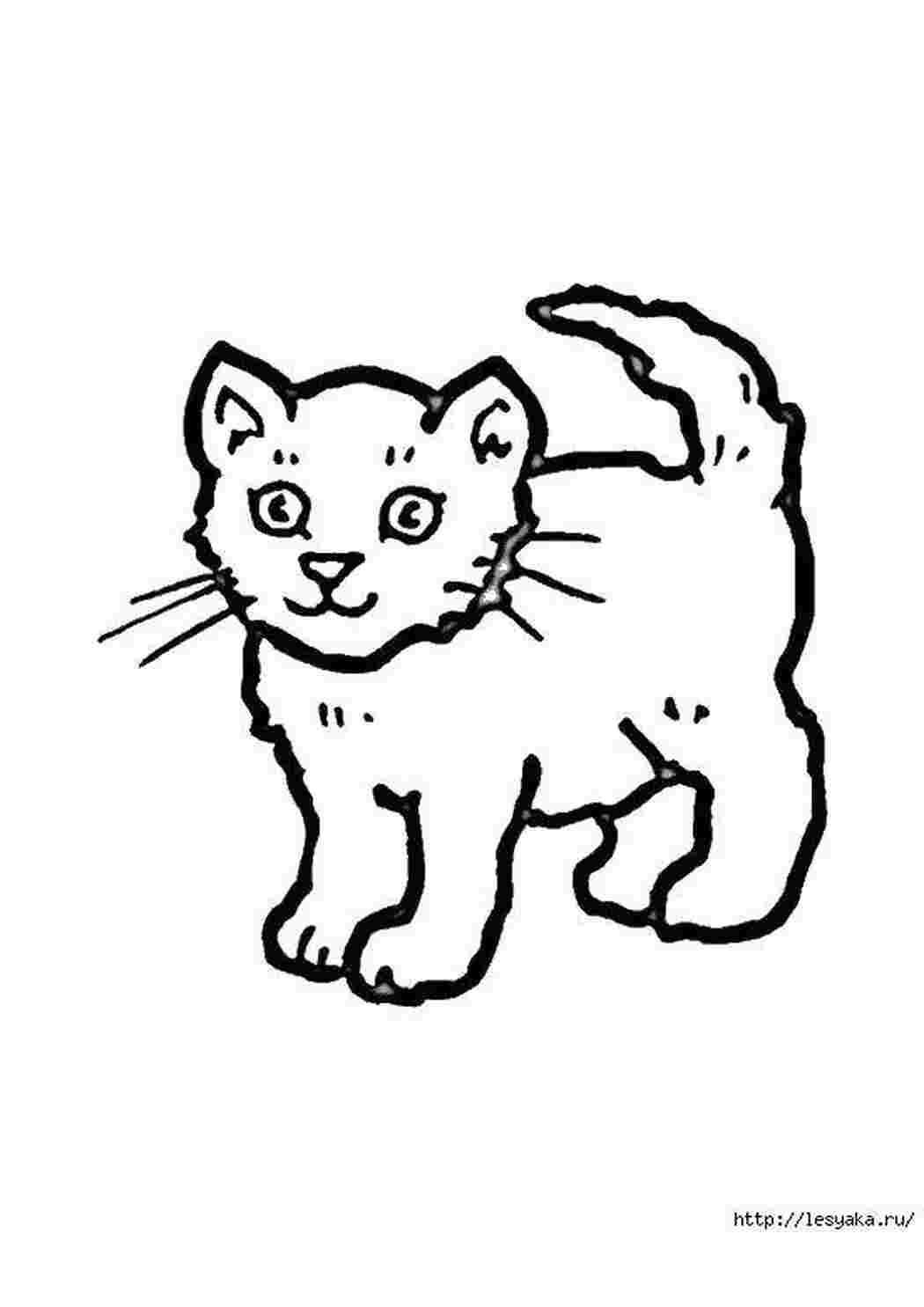 Раскраска Маленьке кошеня