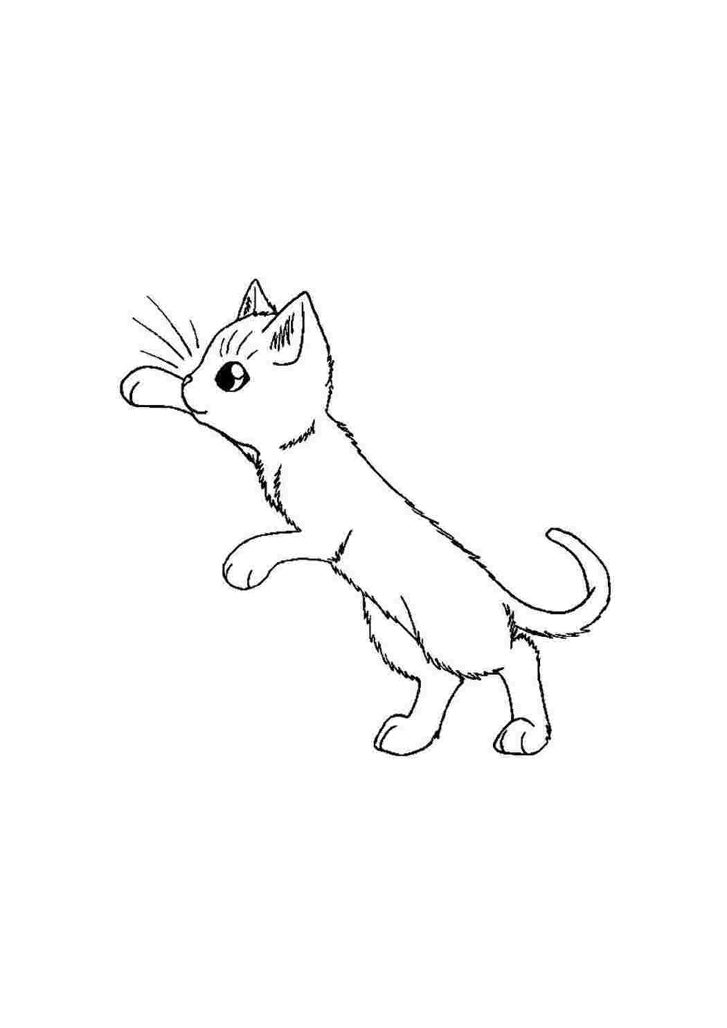 Раскраска Кошеня