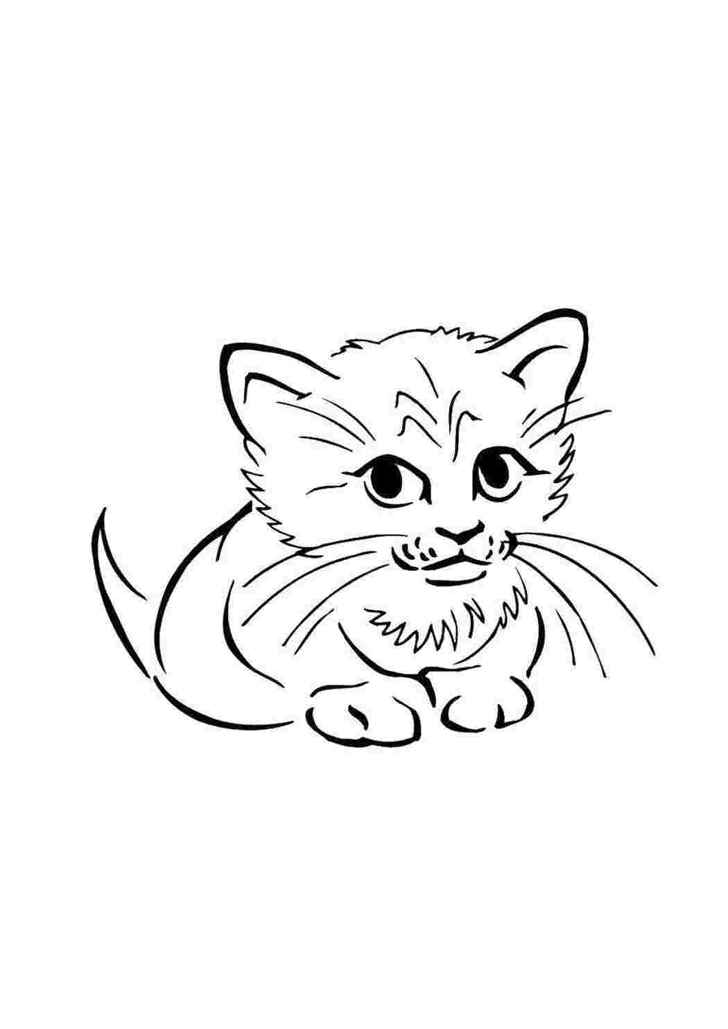 Раскраска Кошеня