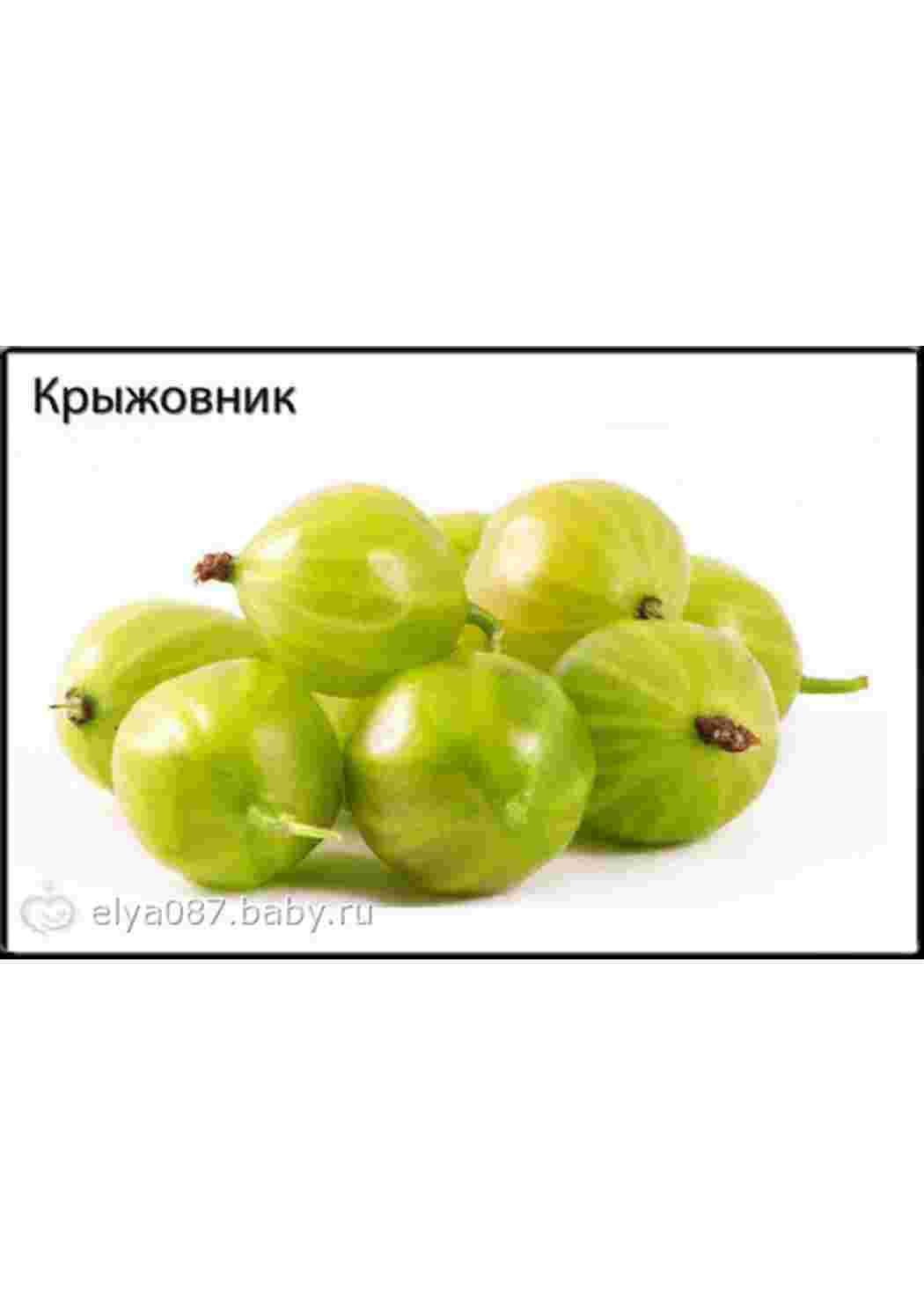 Раскраска картки фрукти яблуко груша слива мандарини