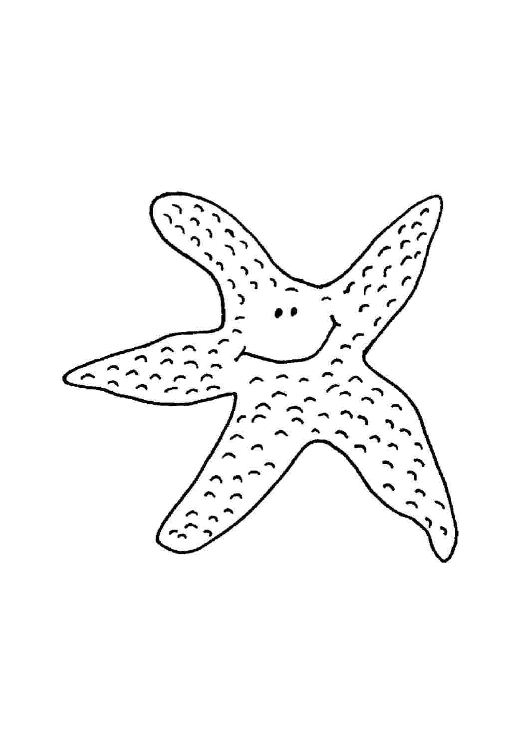 Раскраска Морська зірочка