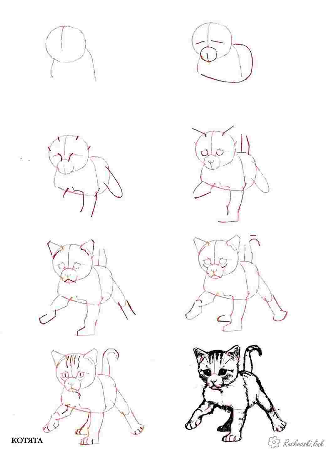 Раскраска котеня