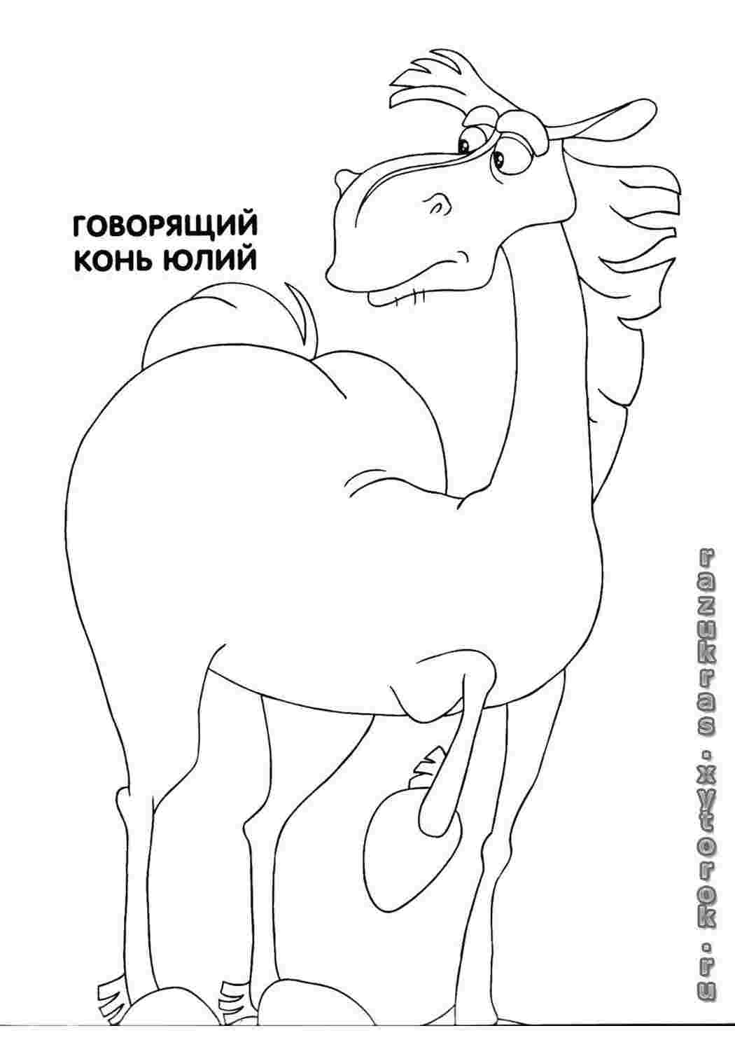 Раскраска Юлій кінь