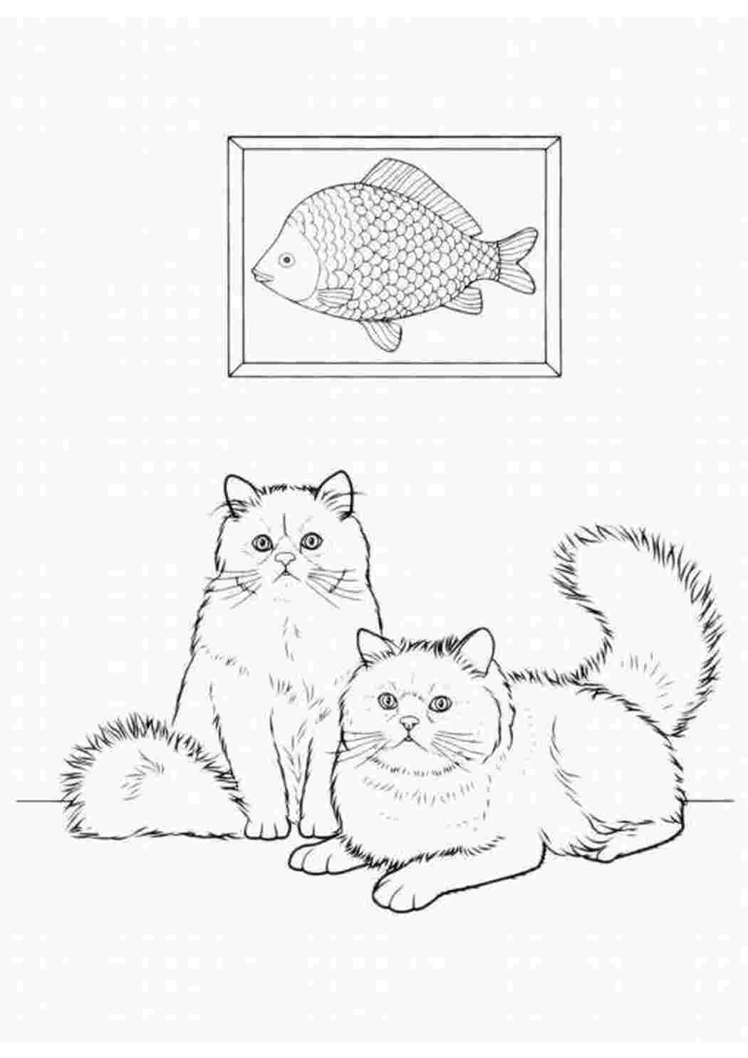 Раскраска Малюнки котів