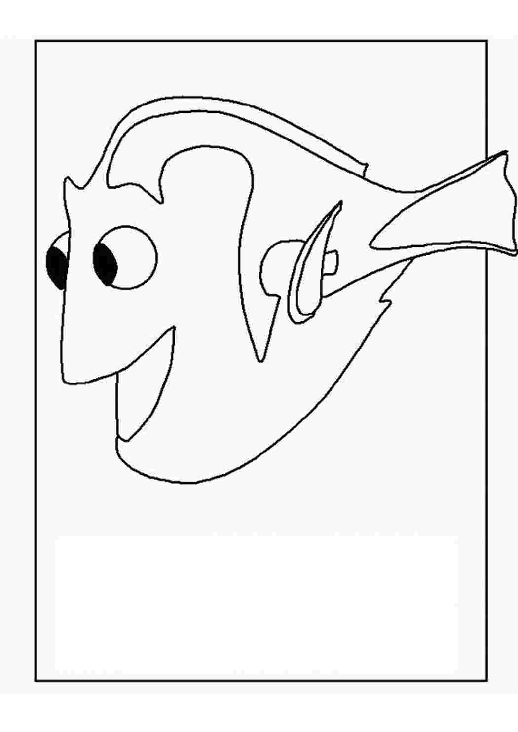 Раскраска Рибка дорі