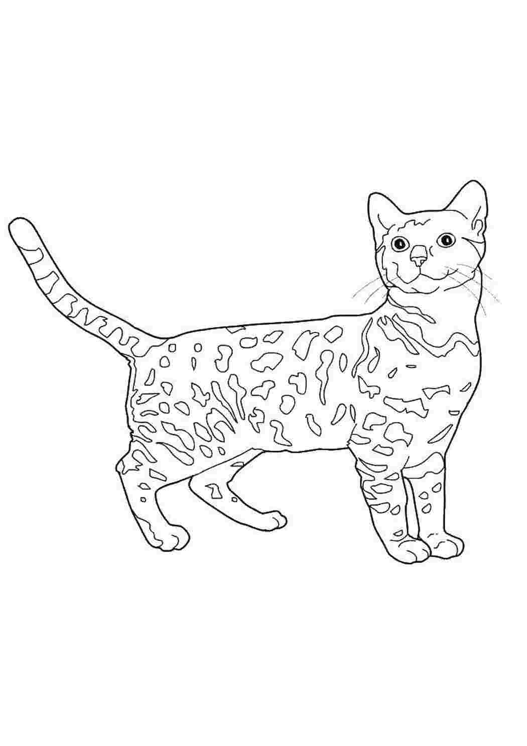 Раскраска 