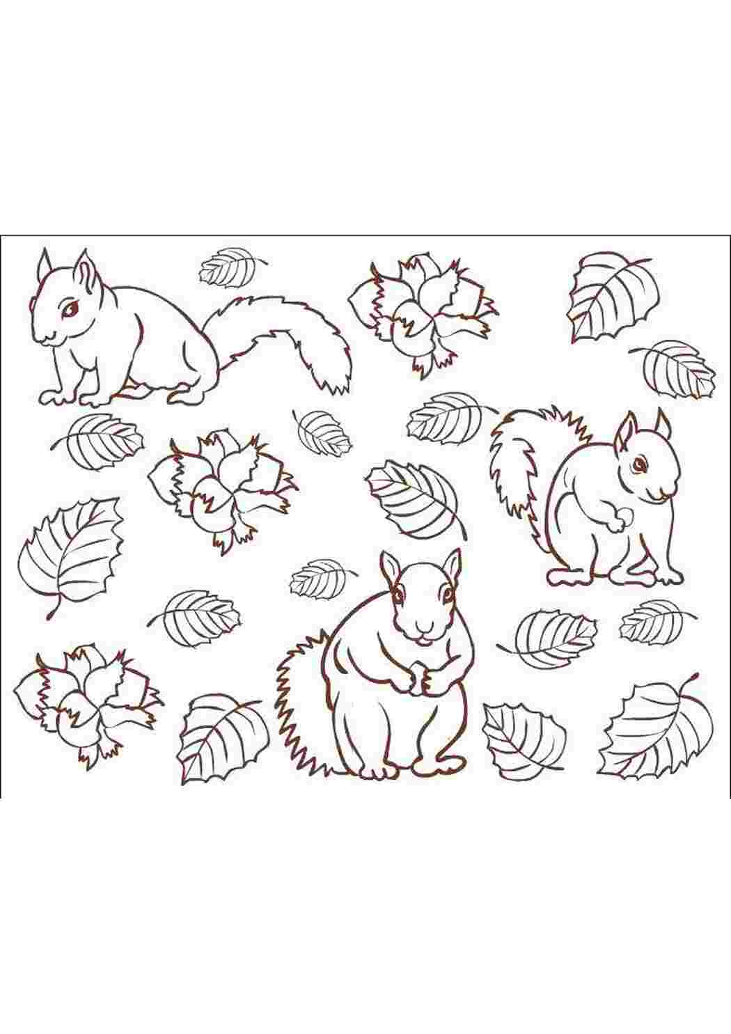 Раскраска БІЛОЧКИ ВОСЕНЮ