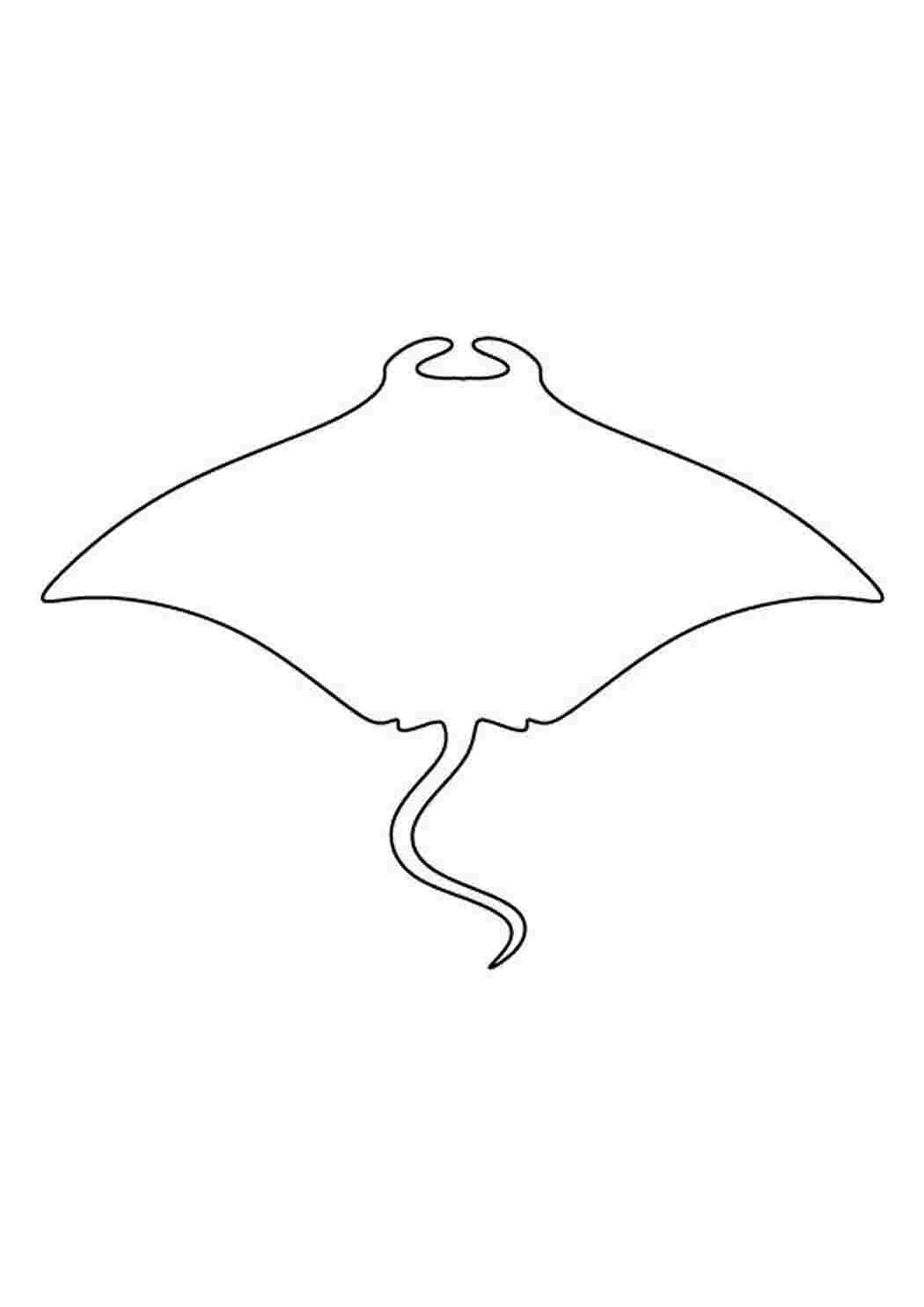 Раскраска Морський скат