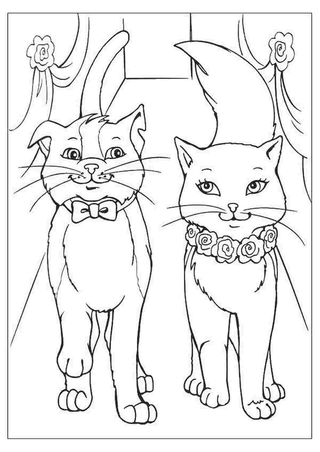 Раскраска Котики