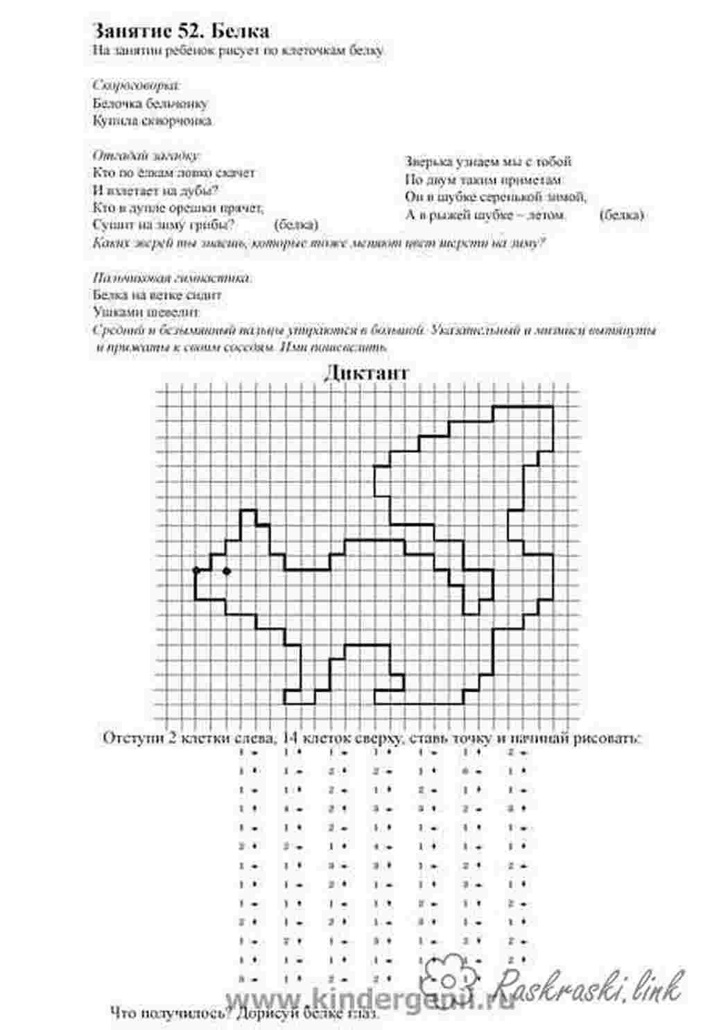 Раскраска білка