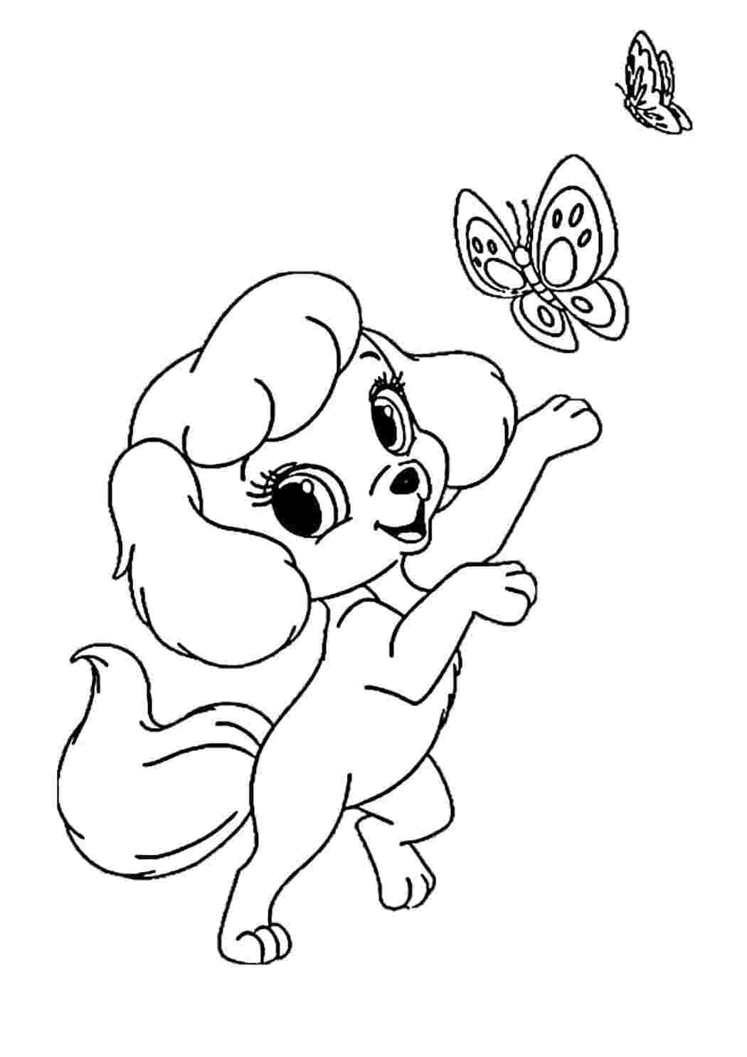 Раскраска Гарні розмальовки Гарненька собачка з милими очима грається з двома метеликами