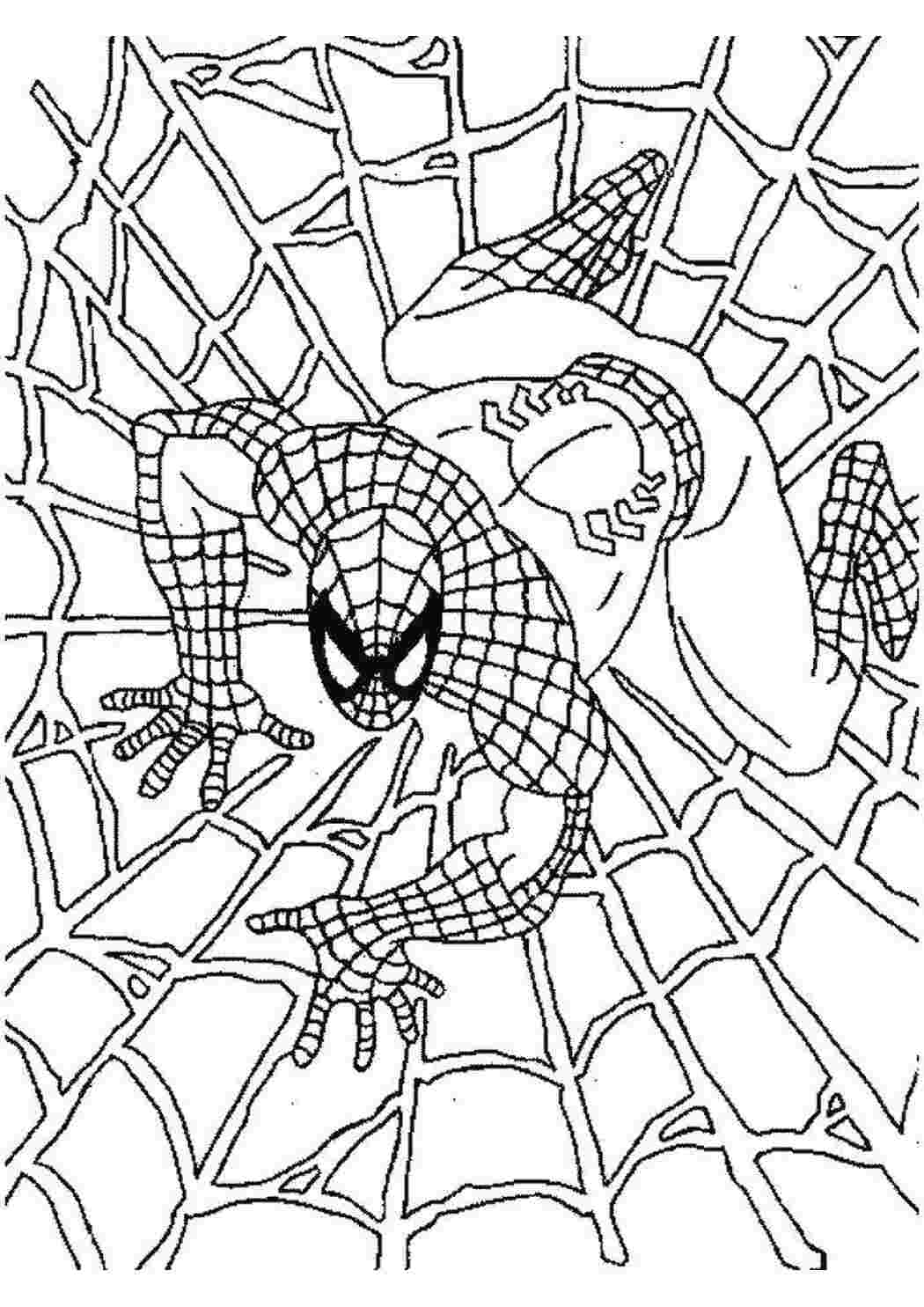 Раскраска Павутина та Спідермен