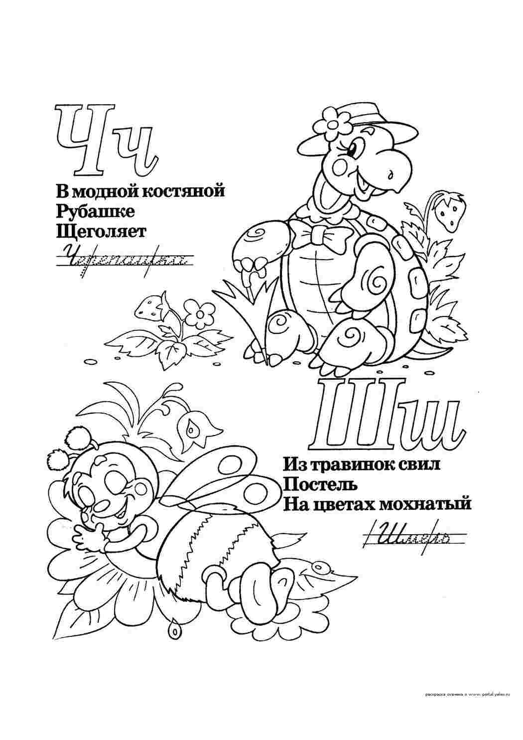 Раскраска Вчимося прописному письму