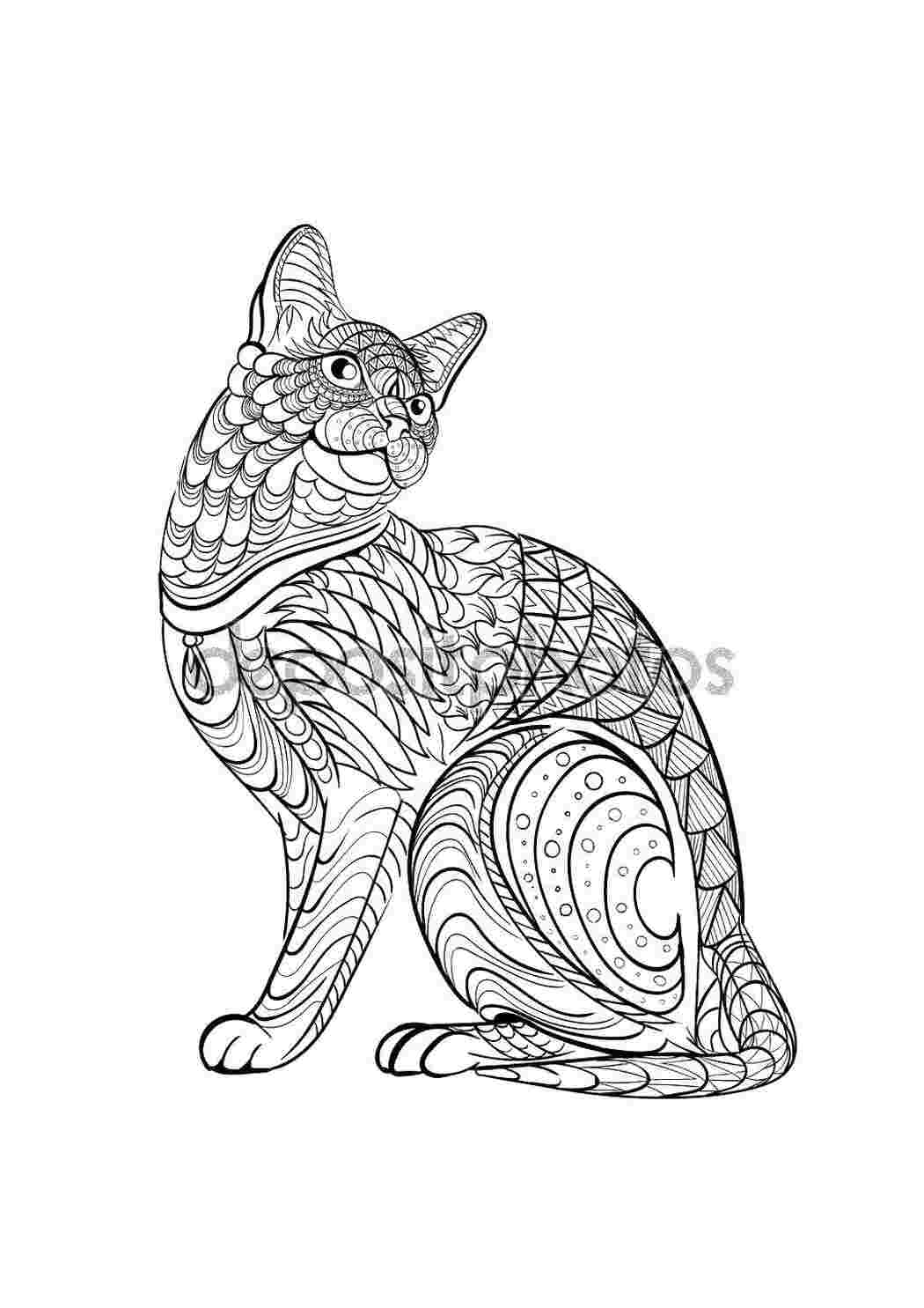 Раскраска Кошеня