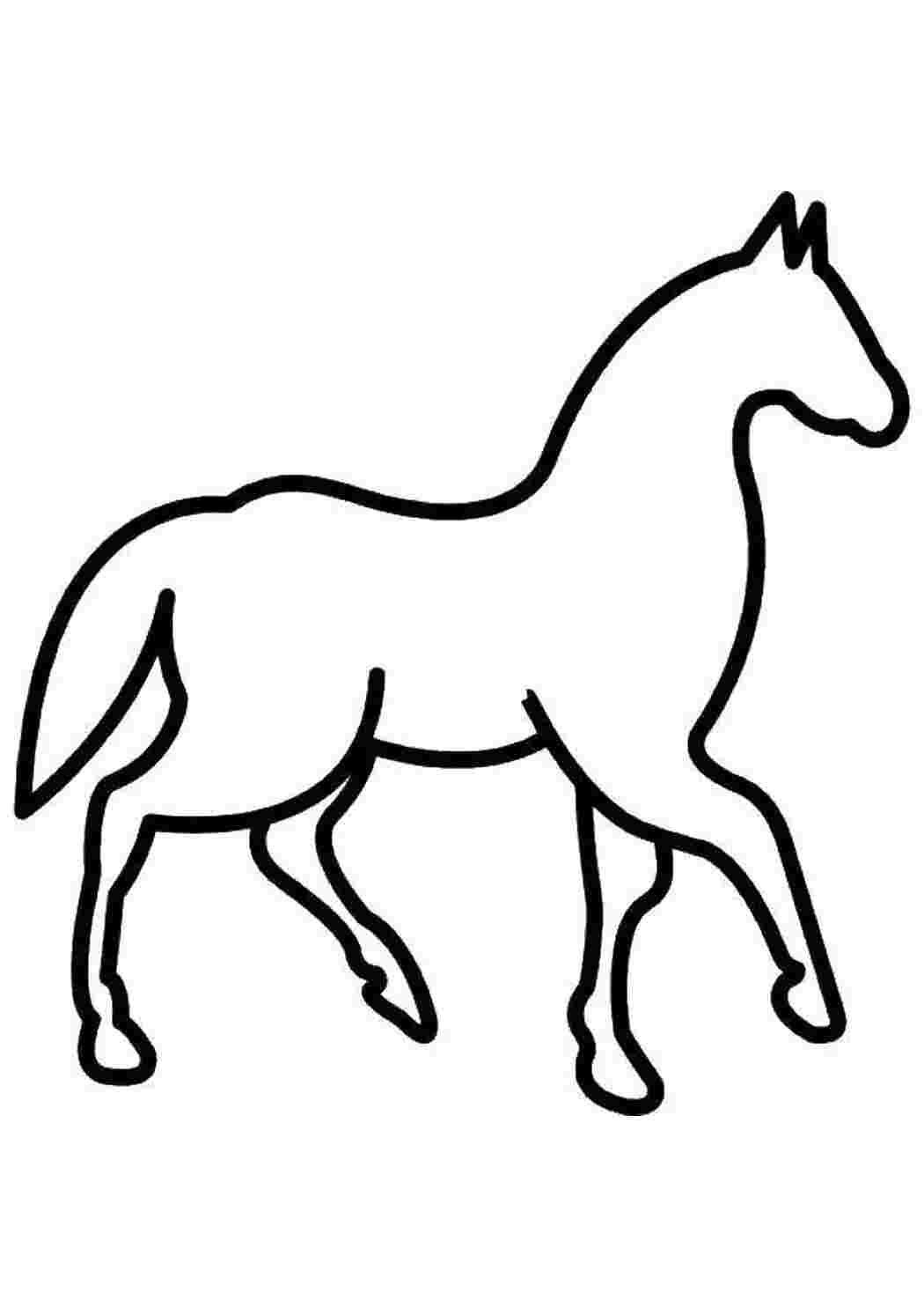 Раскраска Контур коня