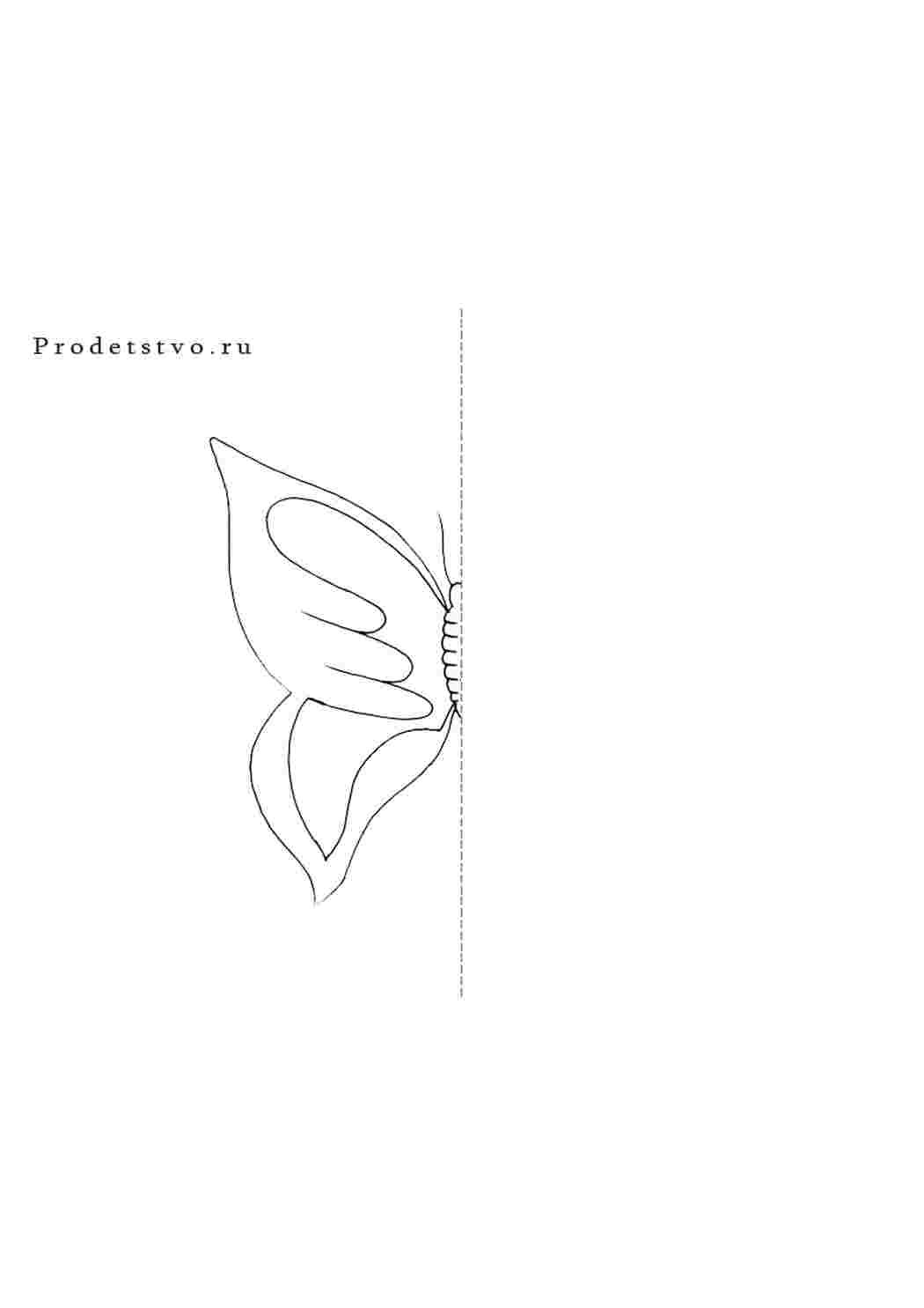 Раскраска домалюй і розмалюй метелика
