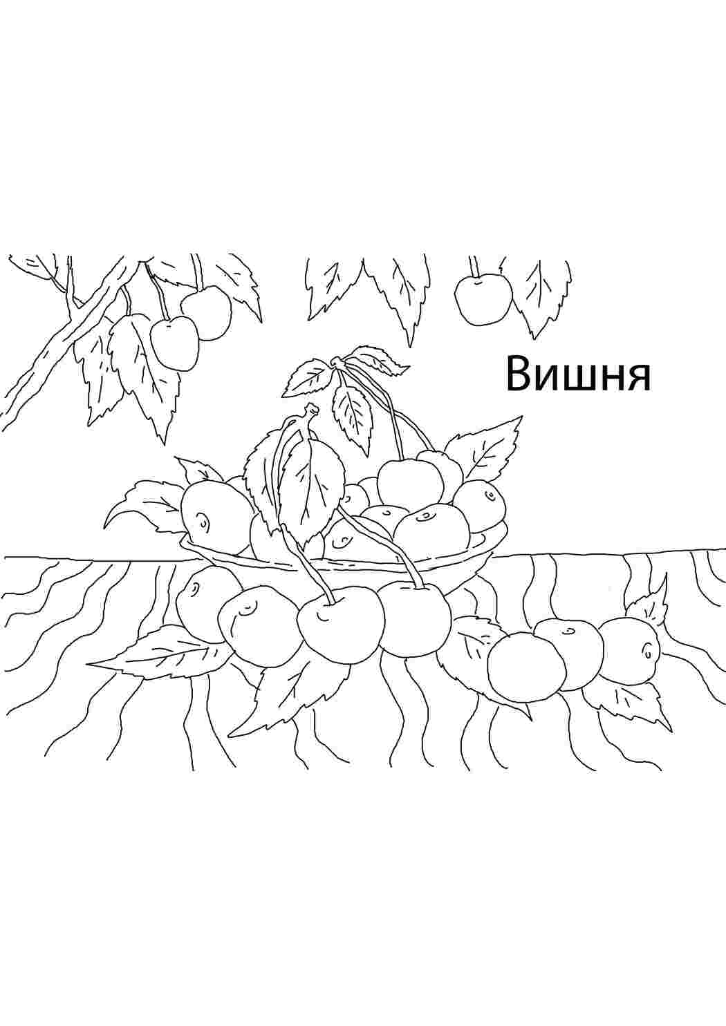 Раскраска Смачна вишня