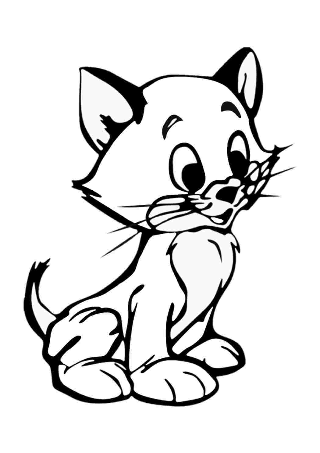 Раскраска Гарні розмальовки Розфарбування котика для малюків