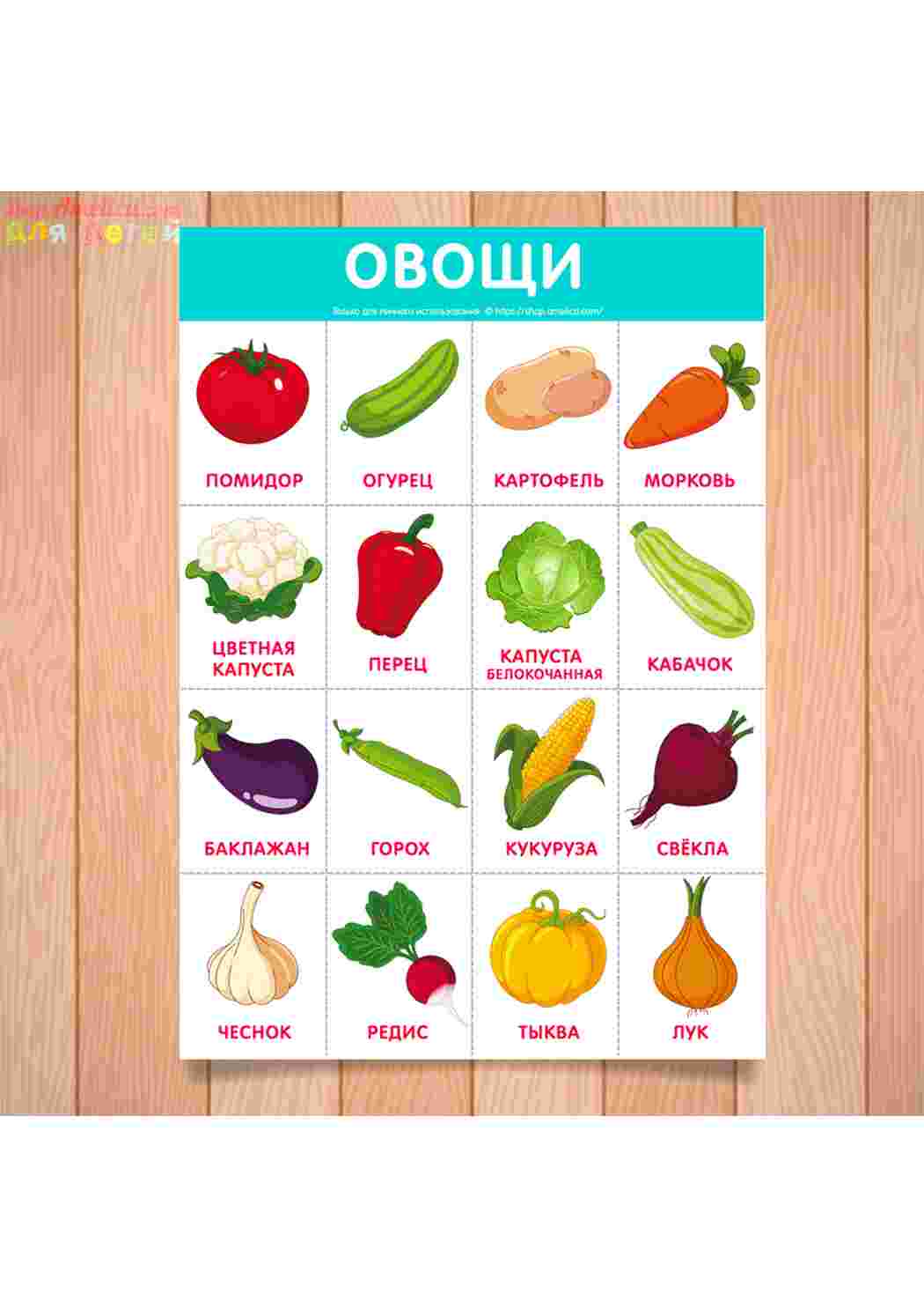 Раскраска картки овочі помідор картопля капуста