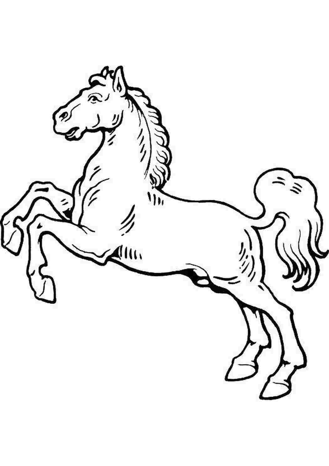 Раскраска 