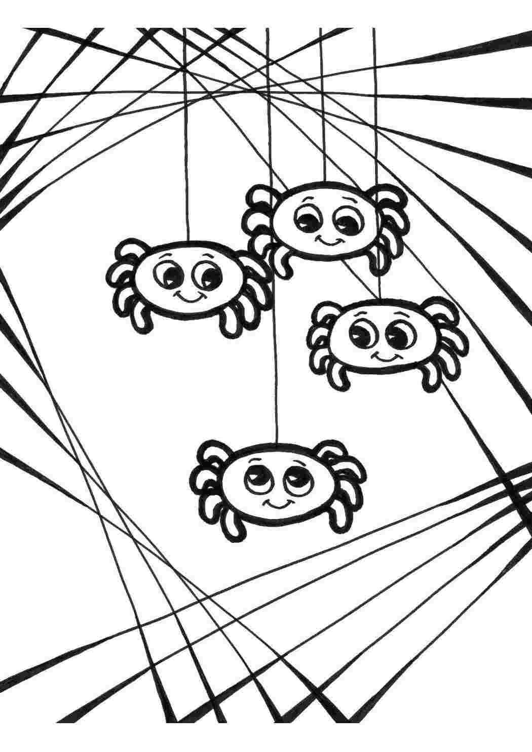 Раскраска Павуки на павутині