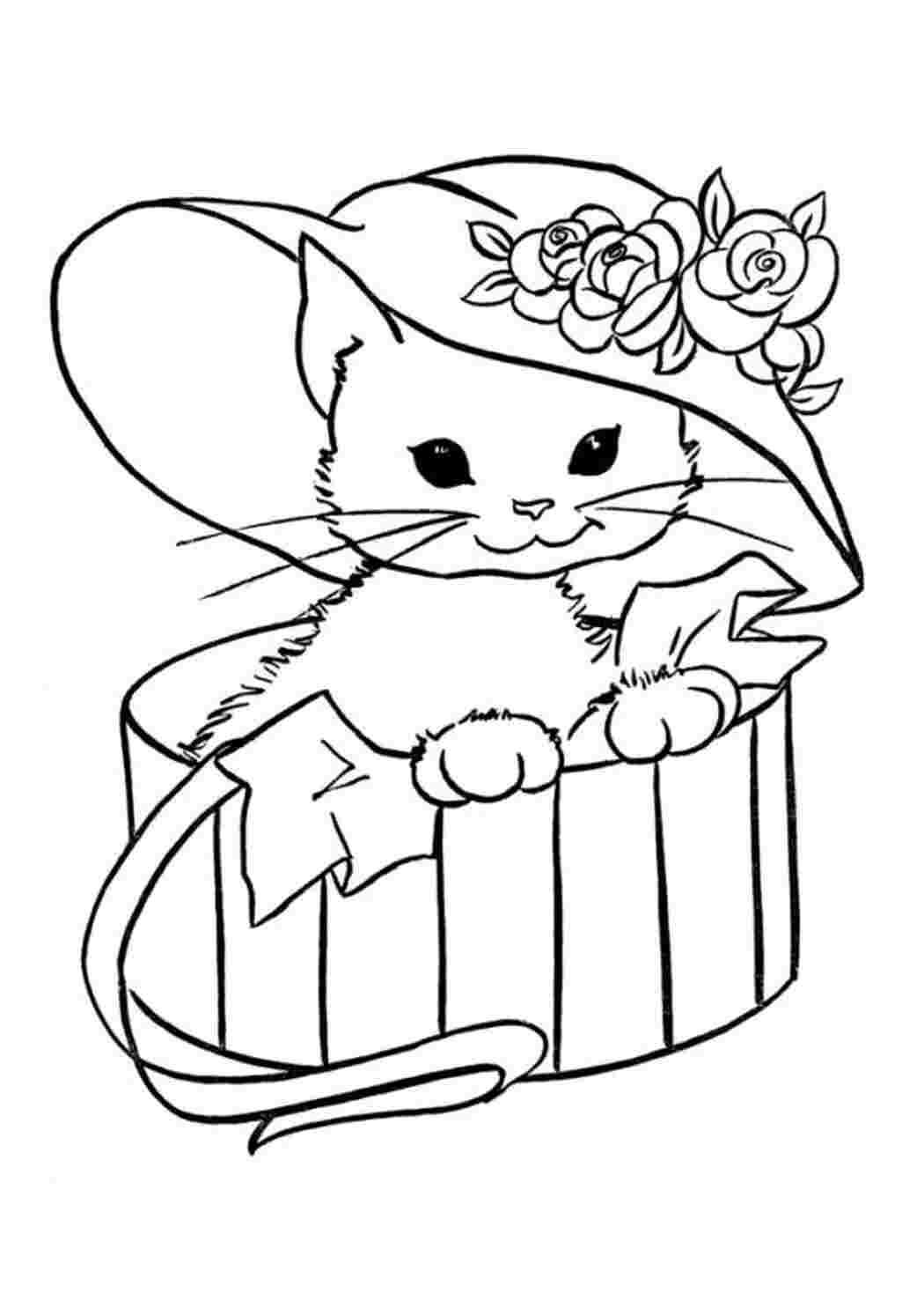 Раскраска Кошеня у коробці