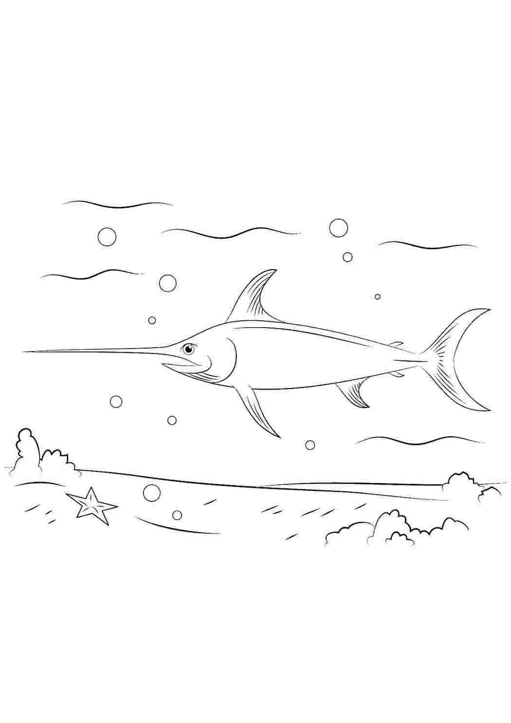 Раскраска Морський меч