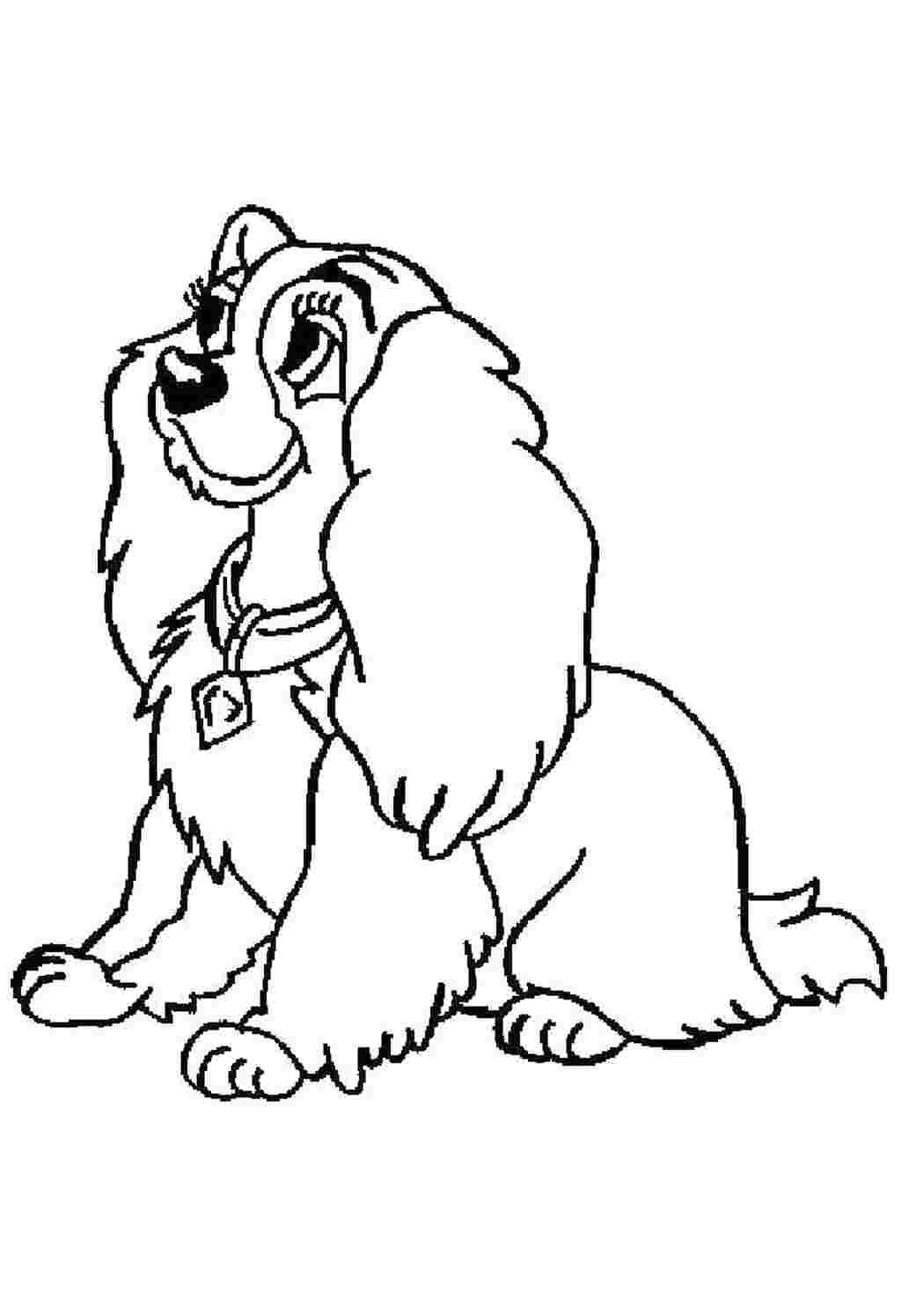 Раскраска Собака