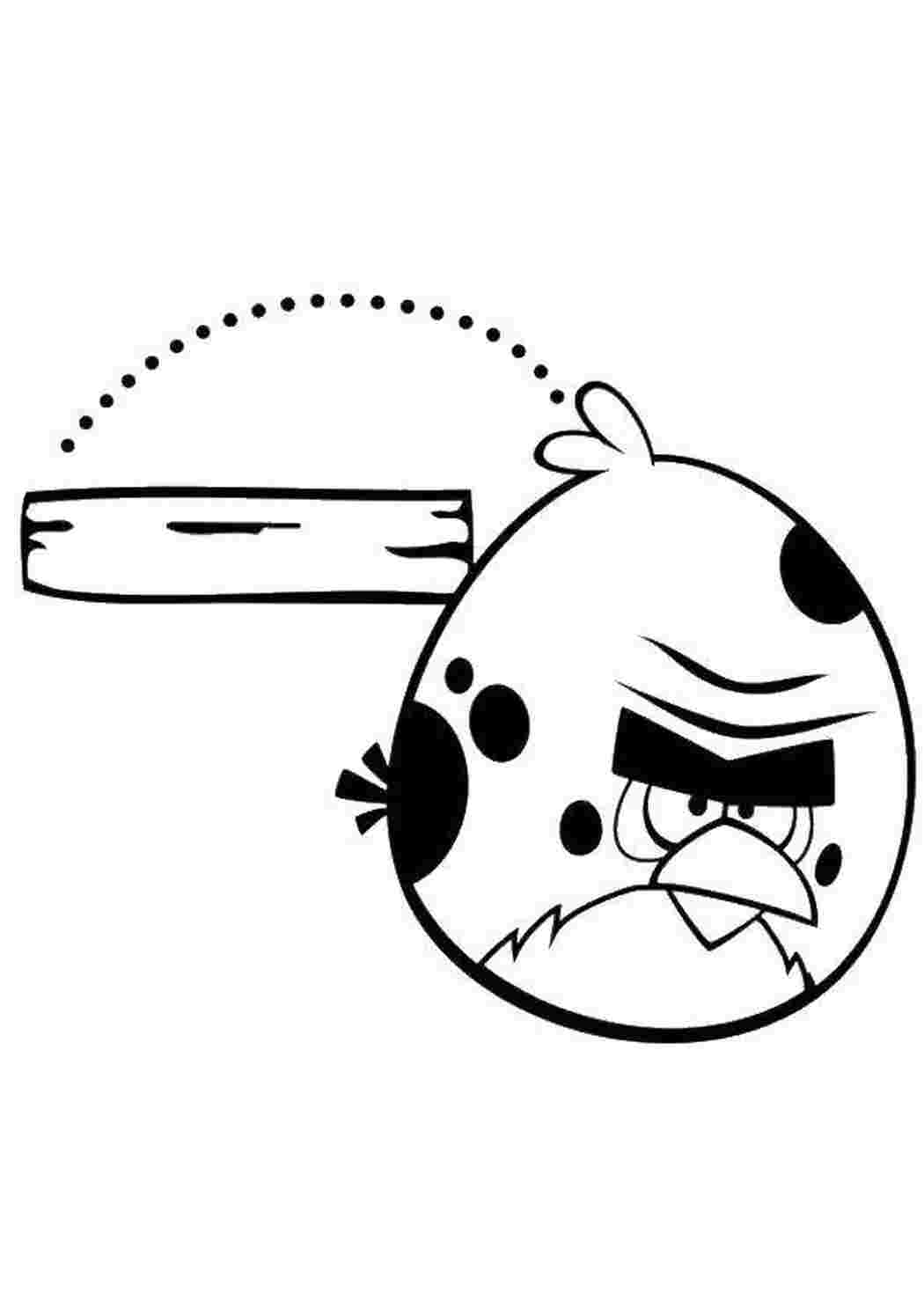 Раскраска Пташка з Angry Birds