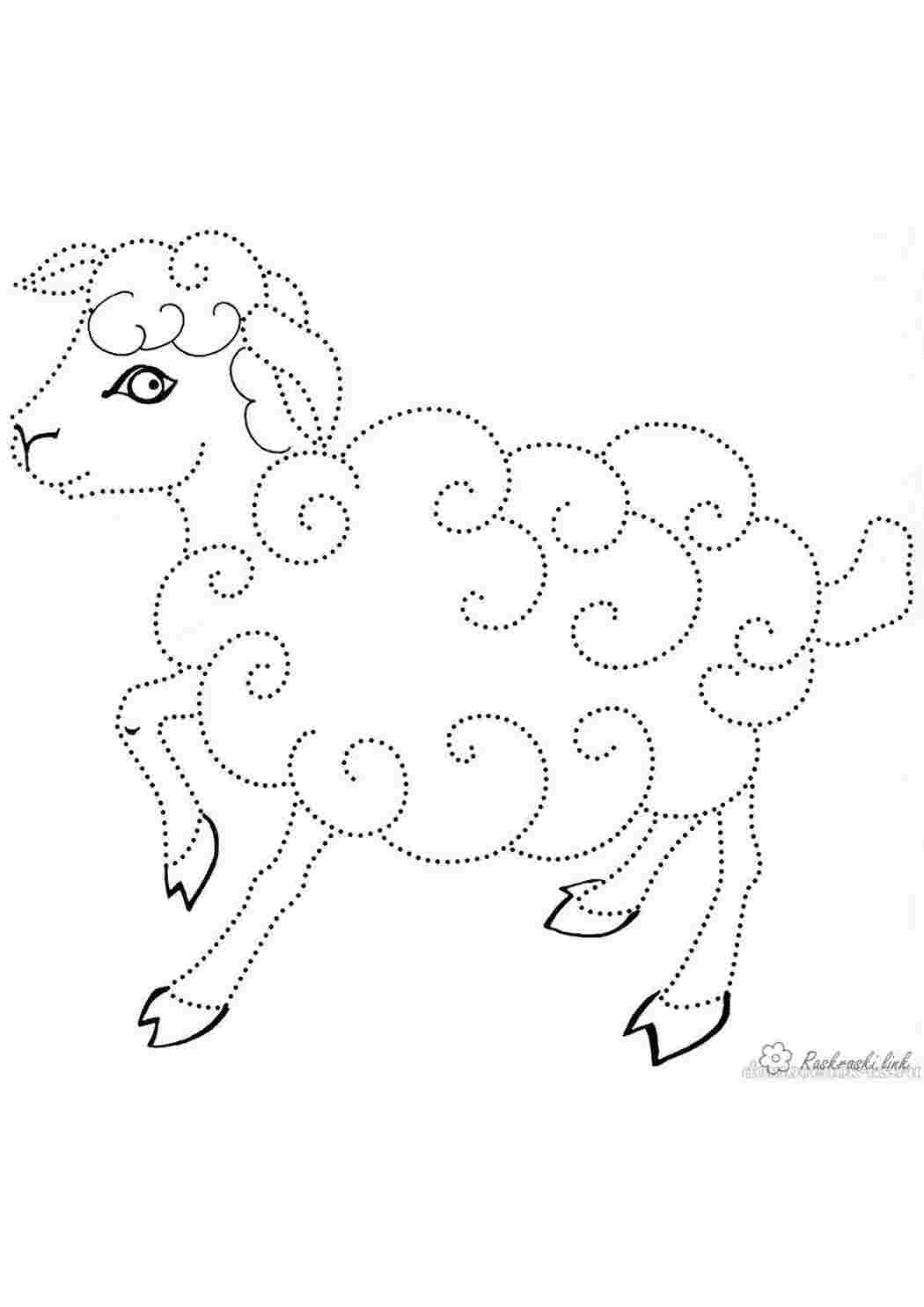 Раскраска Дитяча розмальовка вівця з єднай та розмалюй