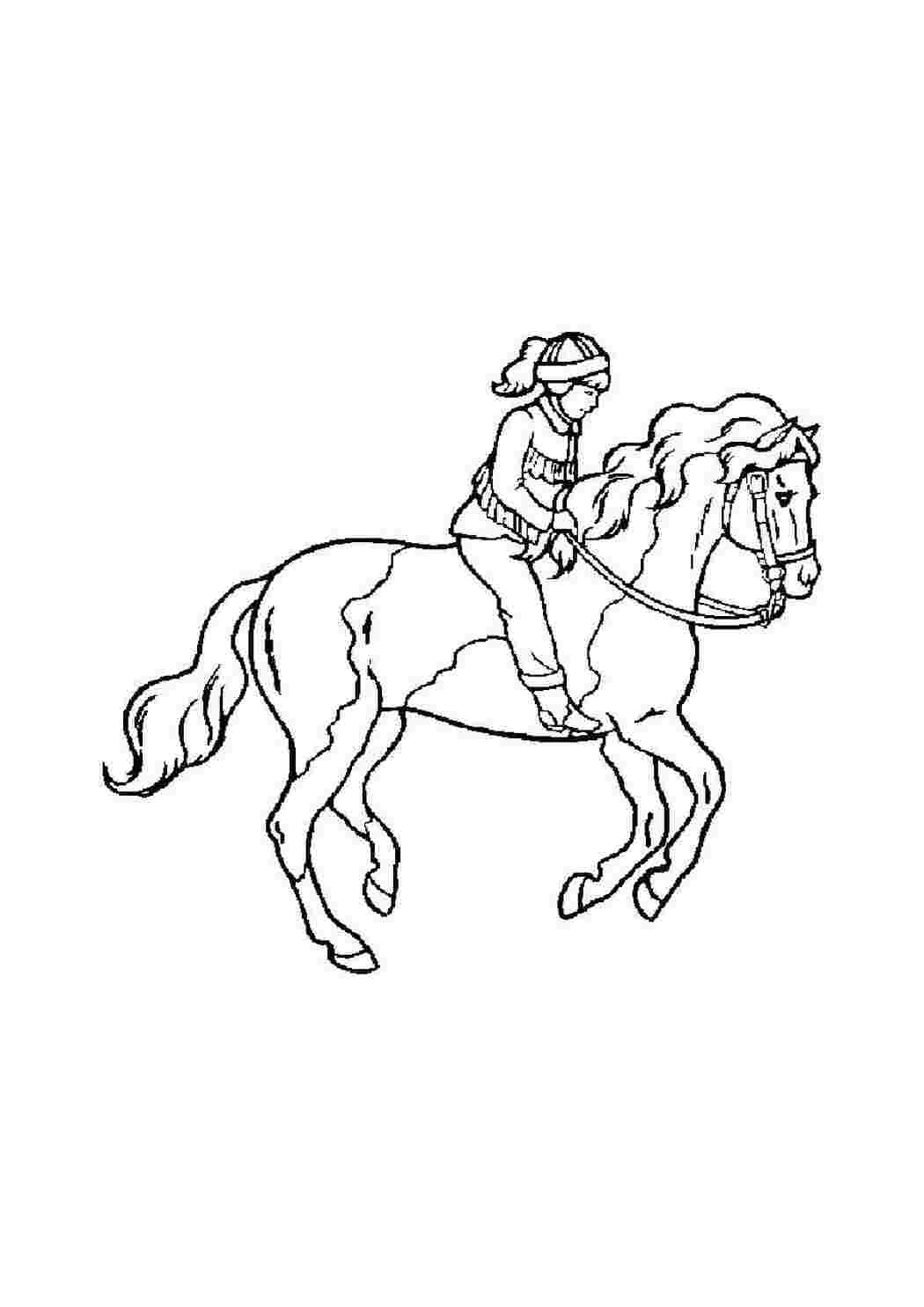 Раскраска Верхова riding