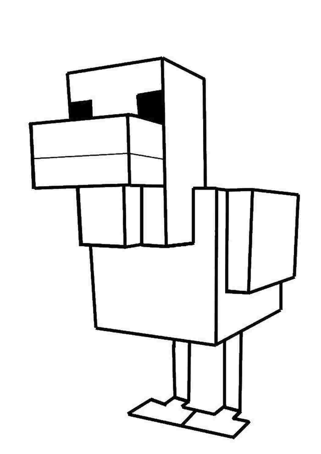 Раскраска Качка