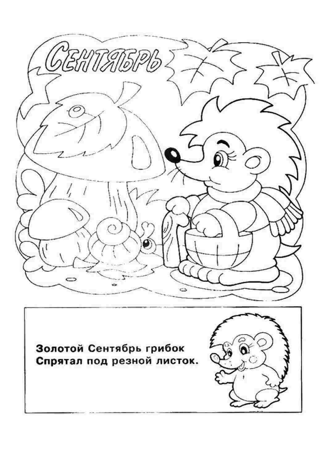Раскраска Їжик і перше вересня