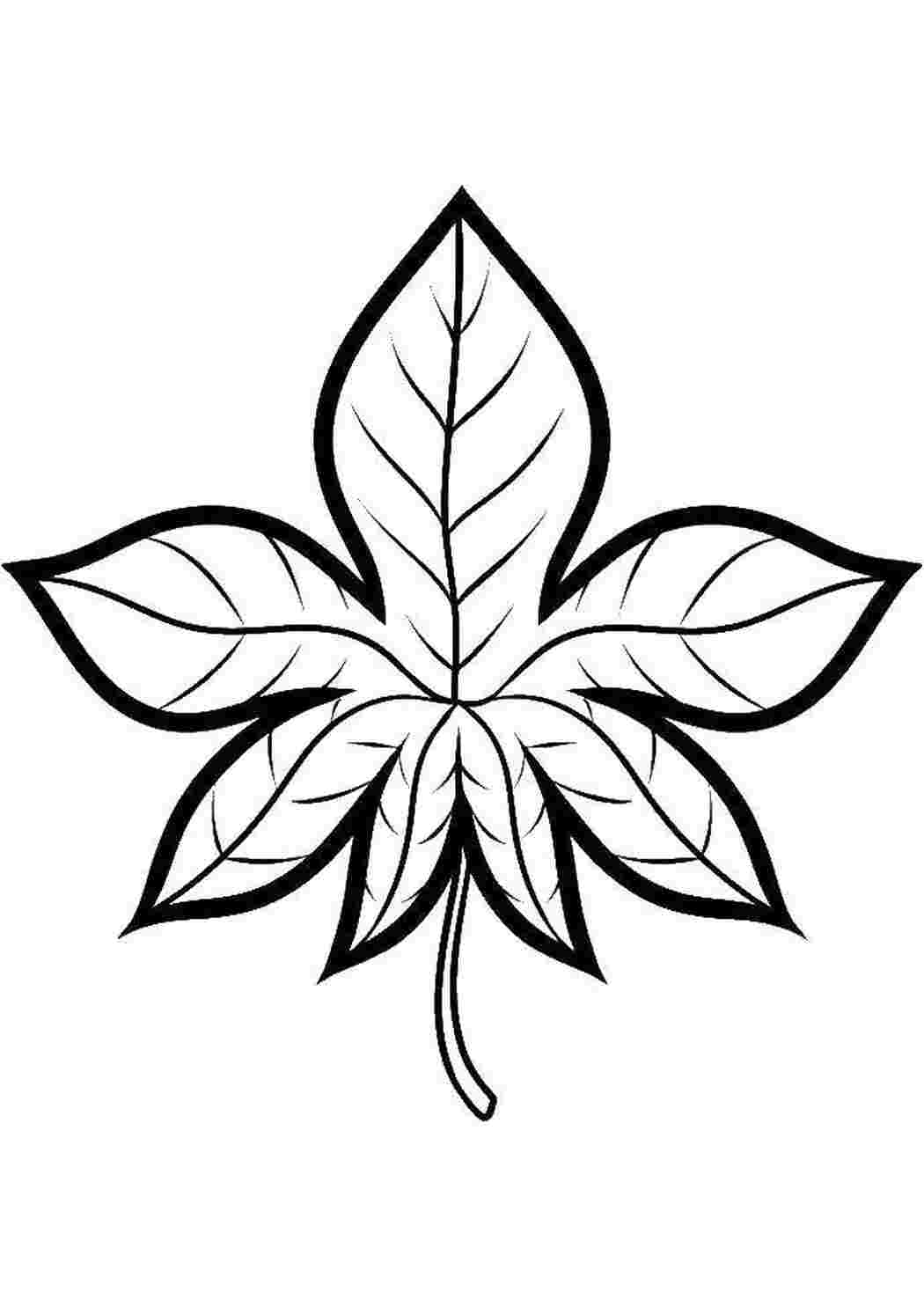 Раскраска Лист