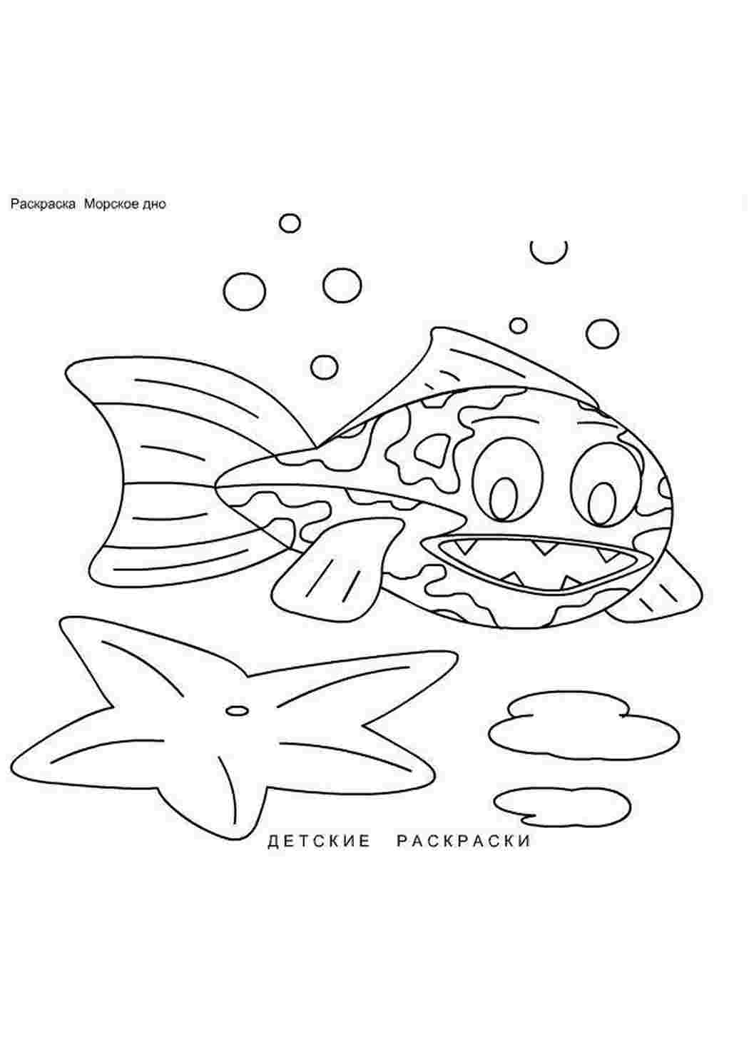Раскраска Малюнок розмальовка мексиканський місячний кіт