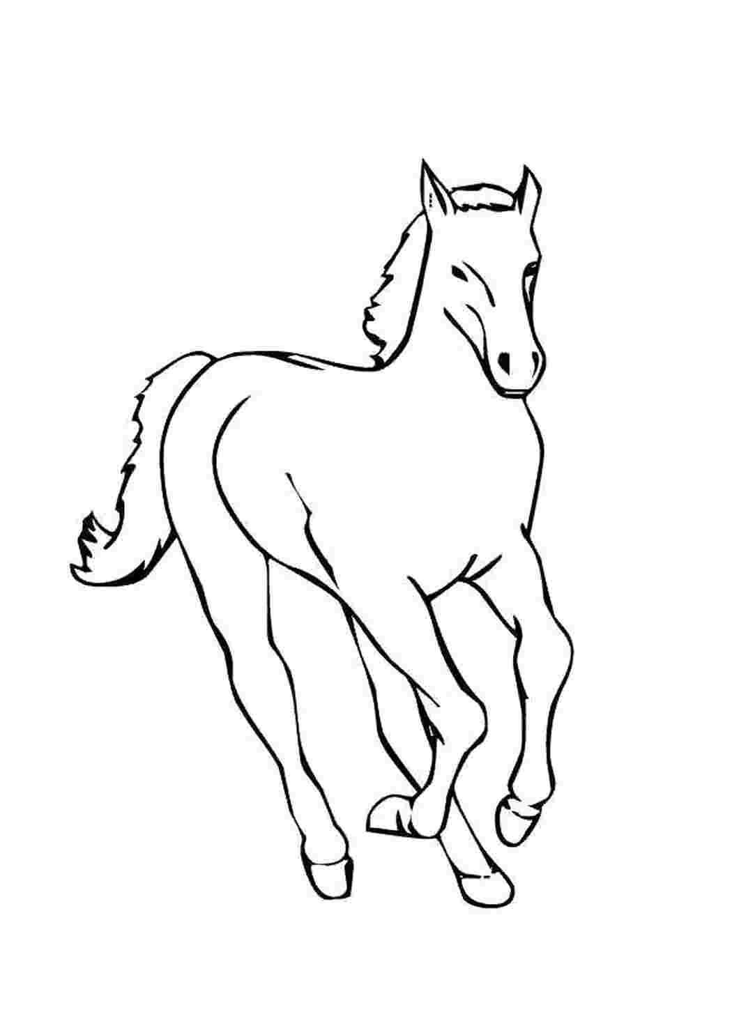 Раскраска 