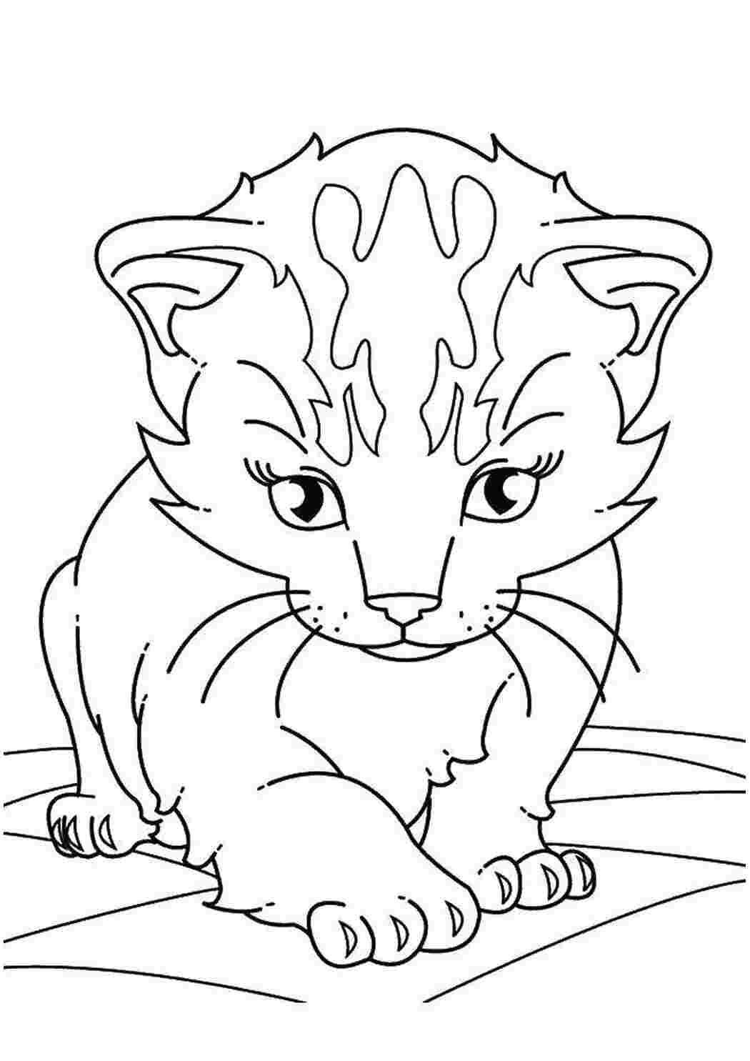 Раскраска Кошеня