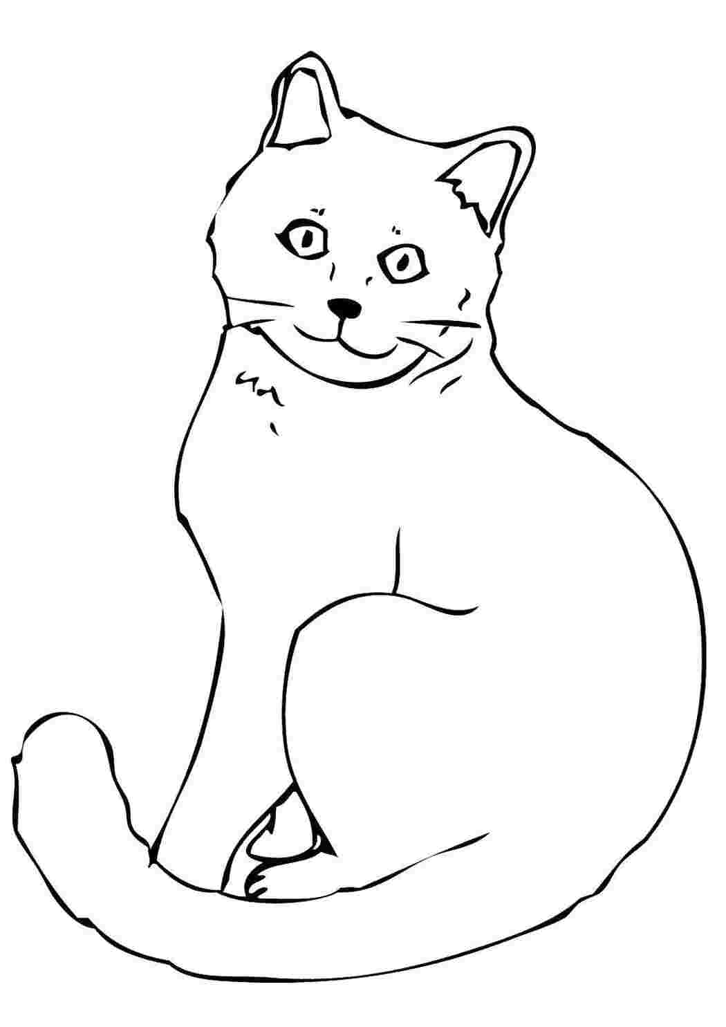 Раскраска Контур кота