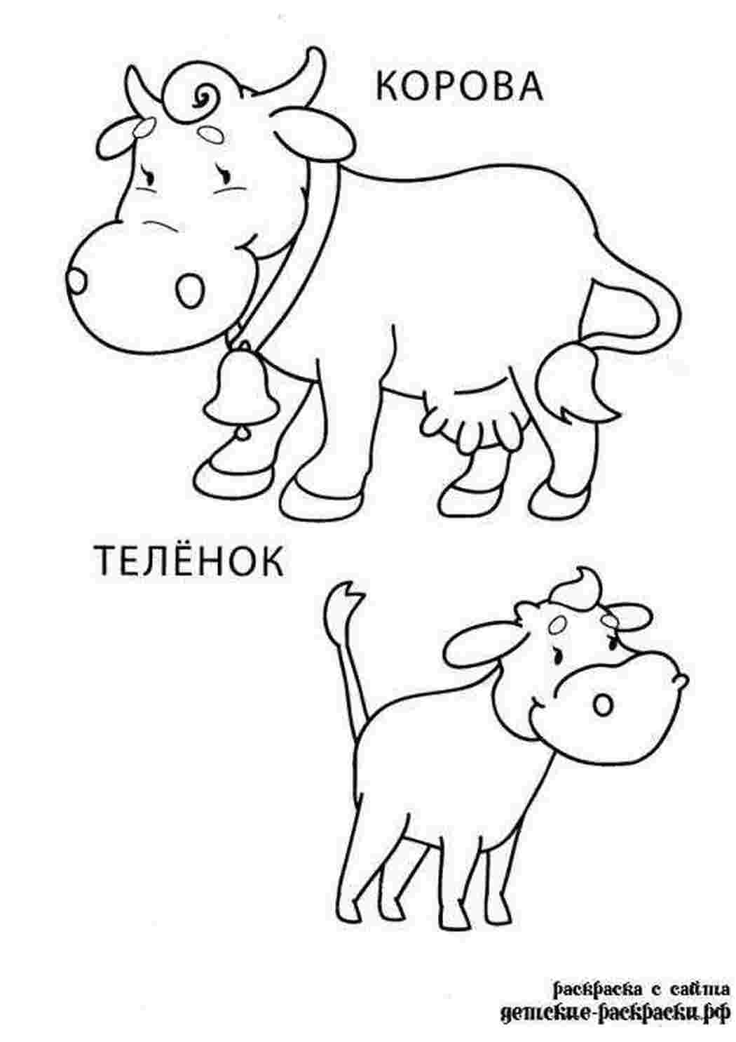 Раскраска Малюнок корови та теля