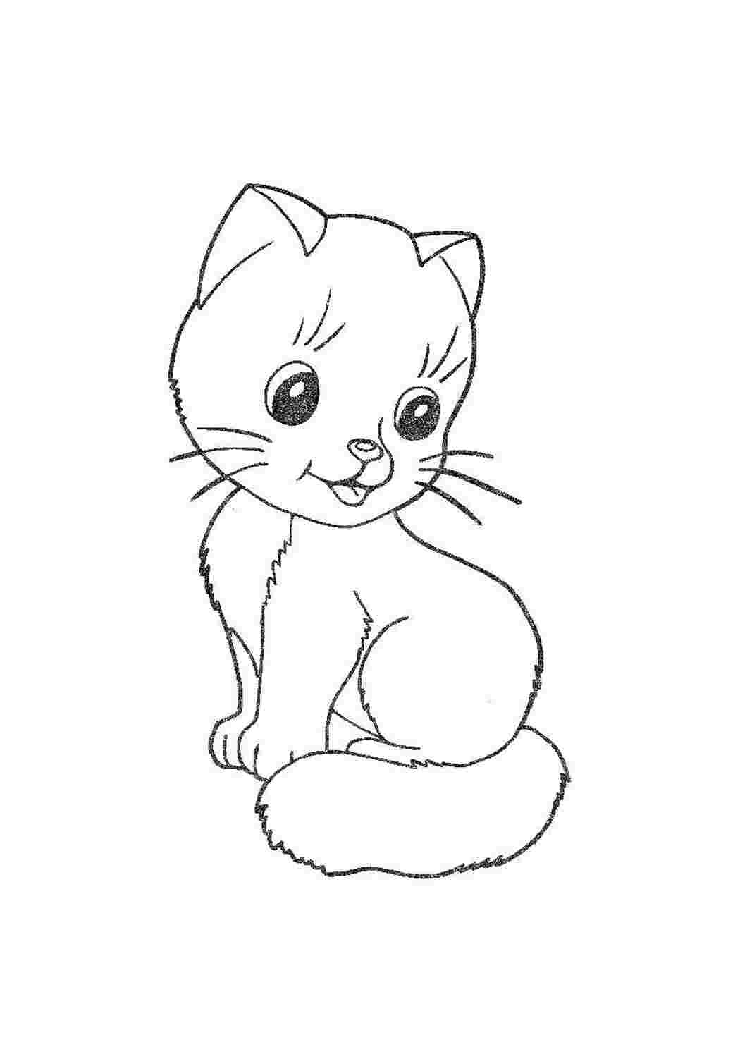 Раскраска Кошеня