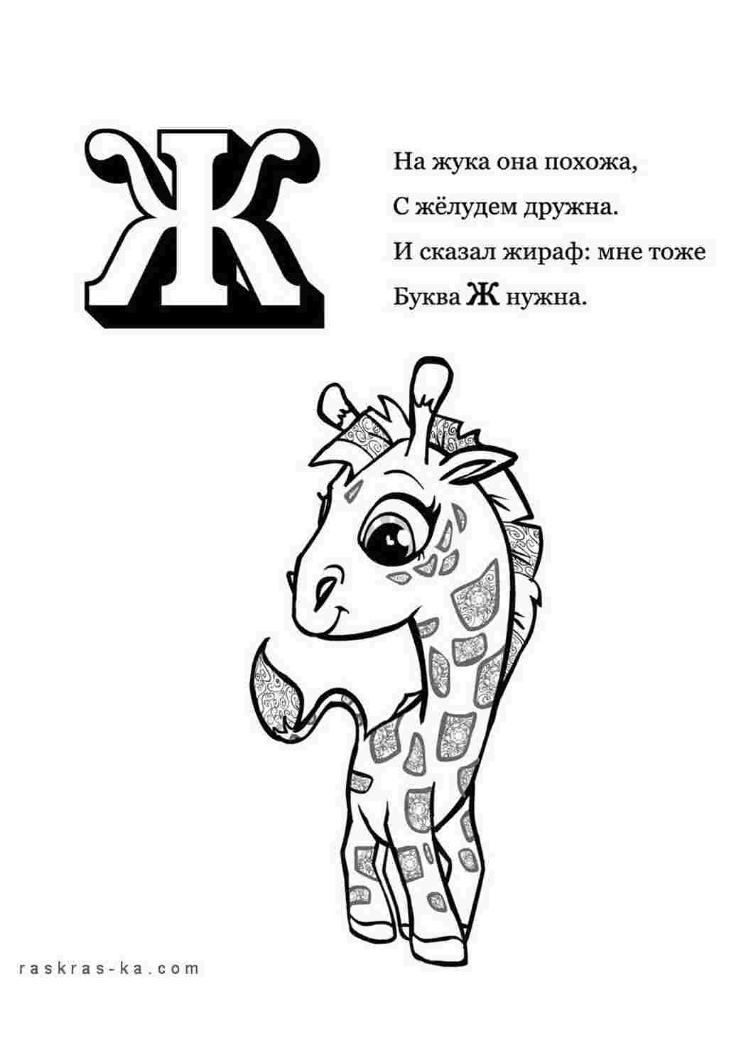 Раскраска Розфарбуй алфавіт розмалюй літеру Ж та жирафа