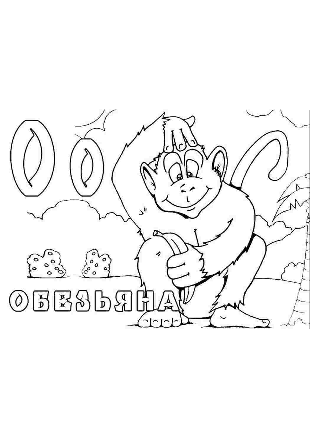 Раскраска Мавпа