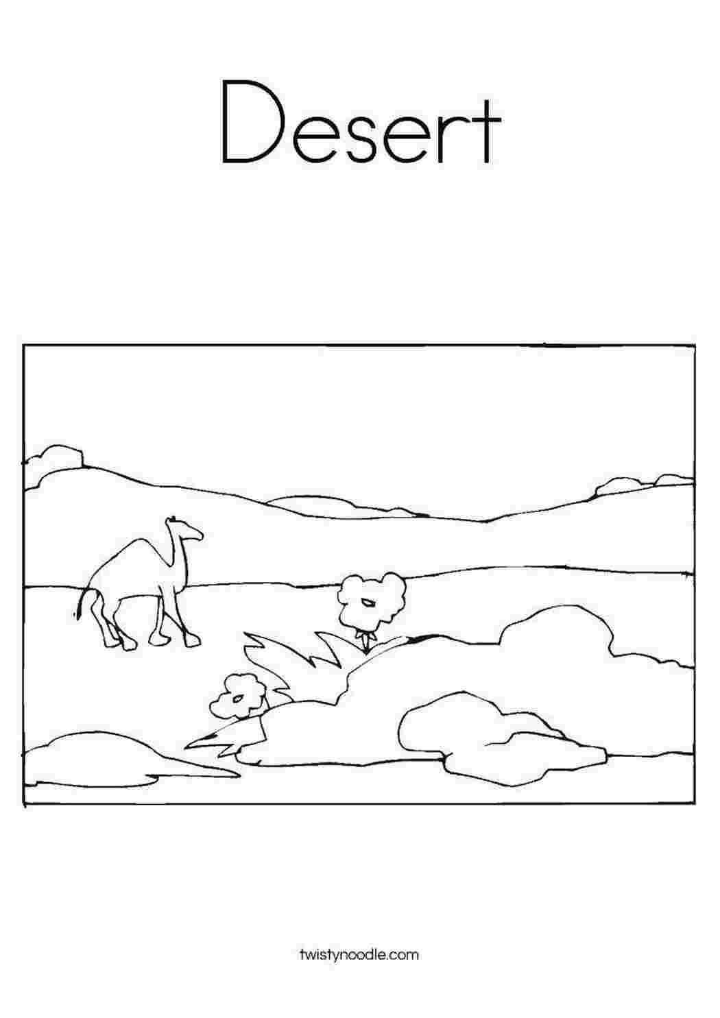 Раскраска Пустеля з верблюдом