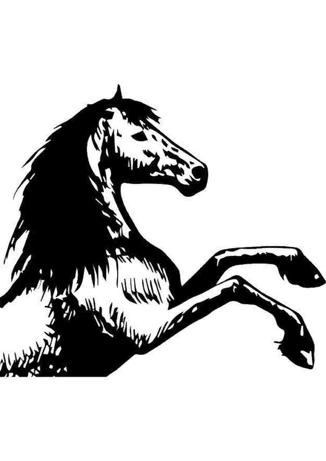 Раскраска кобилка