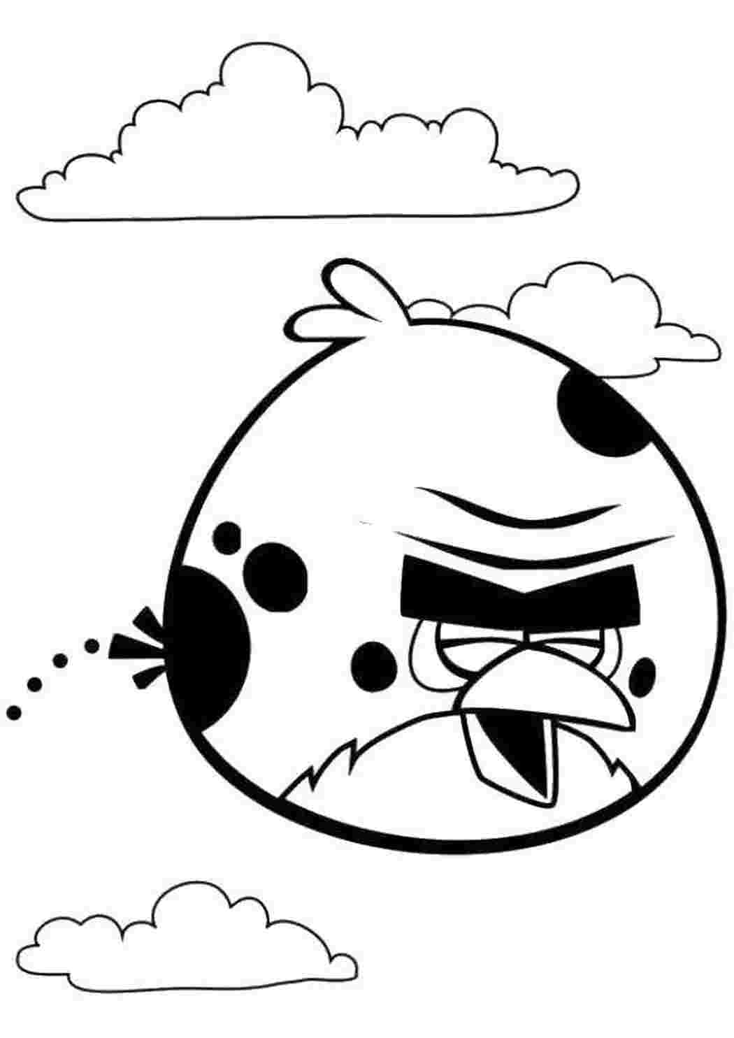 Раскраска Пташка з Angry Birds