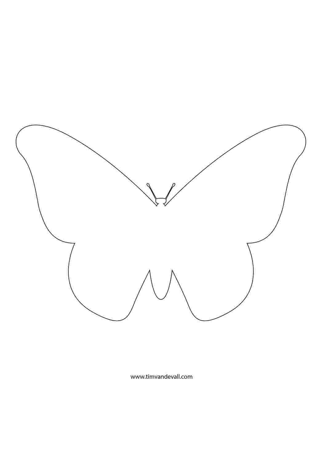 Раскраска Контур метелика