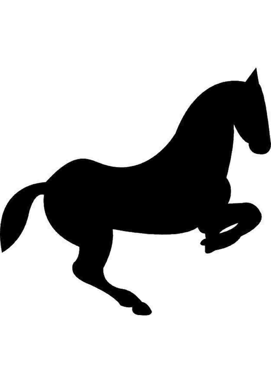 Раскраска Контур коня