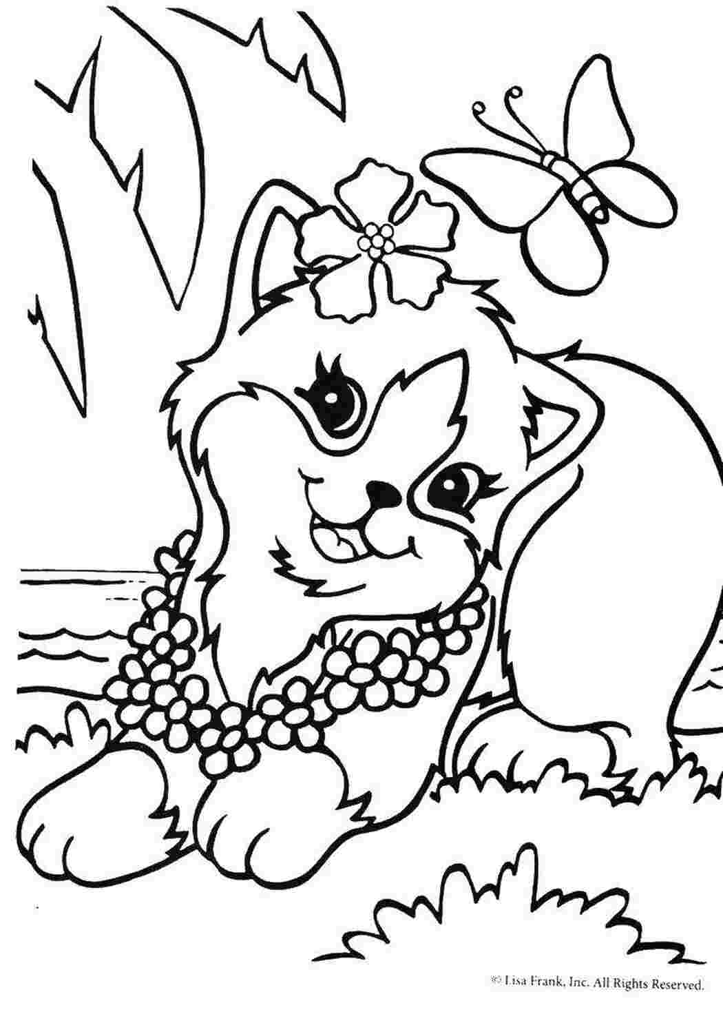 Раскраска Кошеня