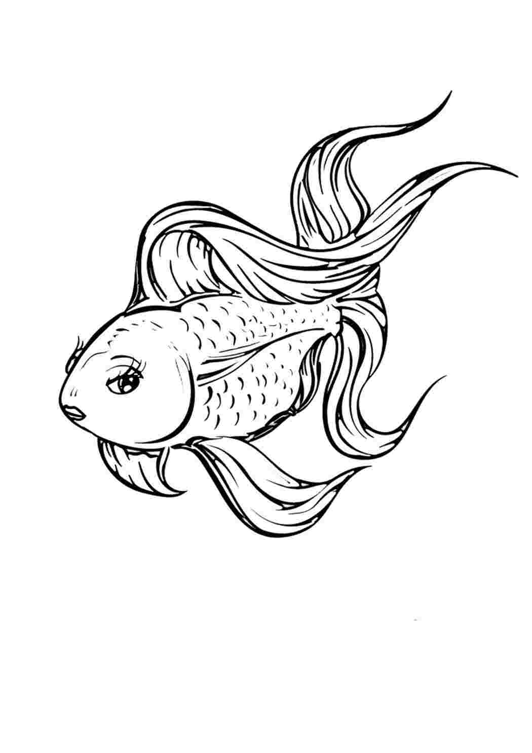 Раскраска Гарні розмальовки Гарна рибка