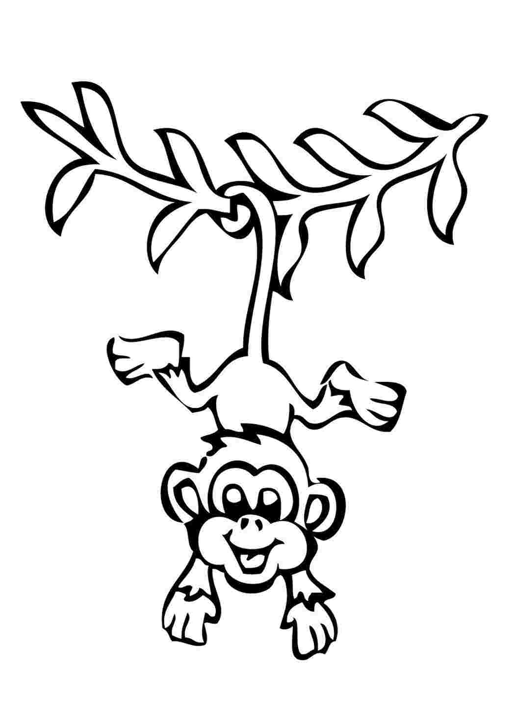 Раскраска Природа Тварини Дикі тварини Мавпи